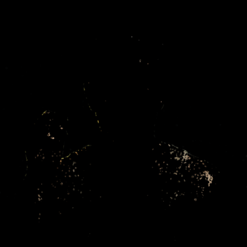 Drifting Coal Dust