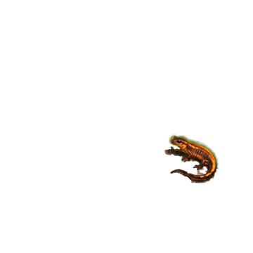 Ember Salamander