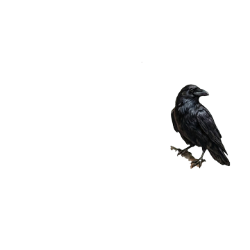 Soot Raven